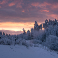 Rising Snow